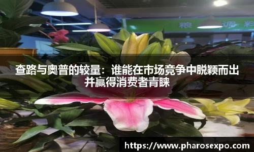 查路与奥普的较量：谁能在市场竞争中脱颖而出并赢得消费者青睐